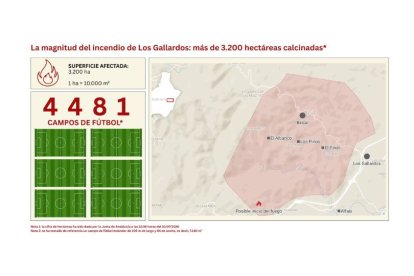Las 3.200 ha calcinadas equivalen a 4.481 campos de fútbol