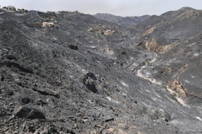 El fuego de Bédar, el incendio más cruel del siglo en toda España, ha convertido la Sierra en puro carbón.