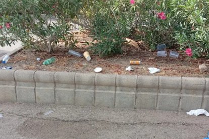 Basura y suciedad en una zona ajardinada