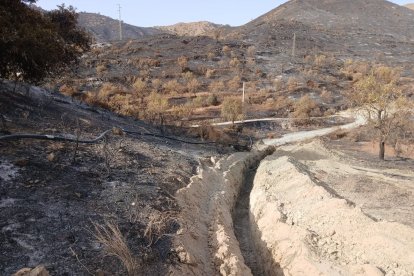 Imágenes de la zona de El Marchal en Lubrín afectada por el incendio.