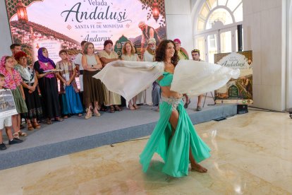Imagen de la presentación oficial en la Diputación Provincial de Almería.