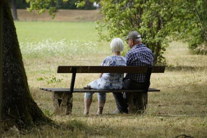 El número de agricultores mayores de 65 años en España que reciben ayudas directas de la Política Agrícola Común (PAC) se mantiene muy parecido a 2024, e incluso aumenta