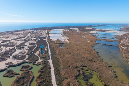 Una parte de Punta Entinas-Sabinar, lugar en el que se encontraron algunos de los ejemplares de 'Culex Martinii'.