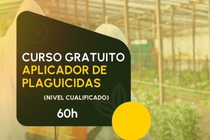 Curso gratuito