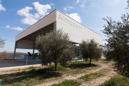 Almazara IFAPA en Venta del Llano, Mengíbar, Jaén