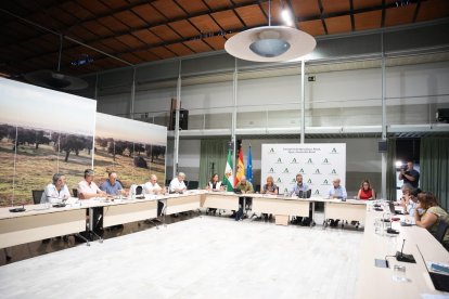 Mesa de Diálogo Social