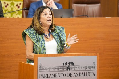 JOAQUIN CORCHERO /PARLAMENTO DE ANDALUCÍA