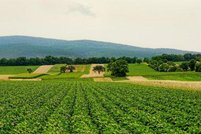 Para ASAJA Almería, esta actuación no debe limitarse al interior de las explotaciones, sino que requiere también prestar atención al entorno agrícola