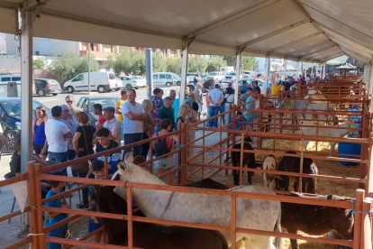 La exposición de caballos de la feria equina de Abla.