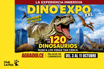 DINO EXPO XXL