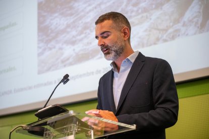 El aforo del olivar arroja una estimación en la producción de aceite de oliva en Andalucía para la próxima campaña 2026/2027 de 1.261.200 toneladas.