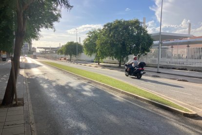 Imagen de la Carretera de Sierra Alhamilla recién reabierta.