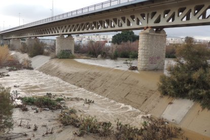 Así baja el río Andarax en la capital, bajo el puente de la carretera de Los Molinos a Los Partidores.
