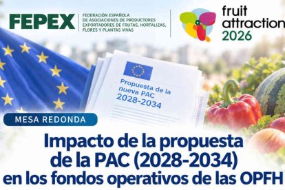 Análisis de la propuesta de la Comisión Europea para la PAC 2028-2034 y de sus implicaciones para las organizaciones de productores, los programas operativos y la financiación de las OPFH de frutas y hortalizas