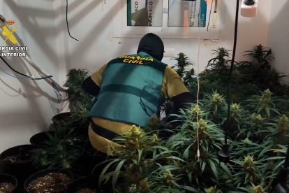 GUARDIA CIVIL