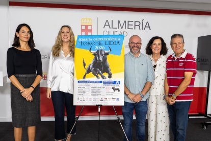 DIPUTACIÓN DE ALMERÍA