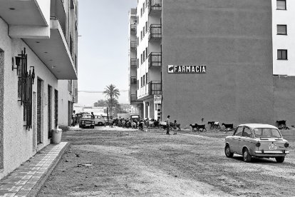 Uno de los solares del barrio del Zapillo en los años 70, cuando todavía cruzaban por allí los rebaños de cabras que venían de la vega.