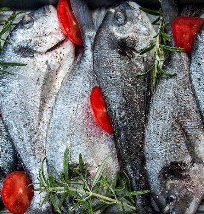 Dorada para comer hoy.
