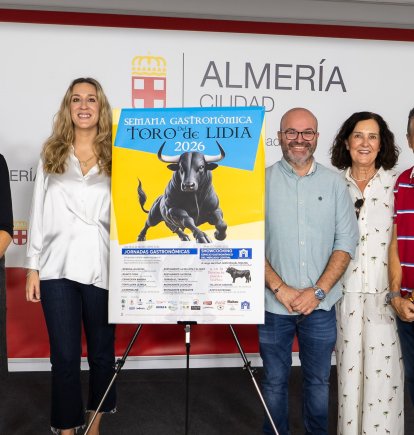 DIPUTACIÓN DE ALMERÍA