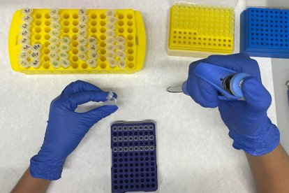 Procedimiento de preparación de PCR.