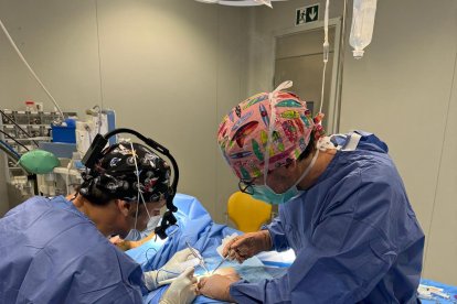 José Luis Martínez-Amo en una intervención