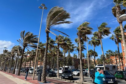 El fuerte viento volverá a Almería este fin de semana.