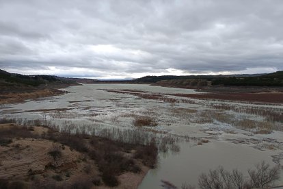 La cola del Negratín, donde las aguas termales han quedado bajo el nivel.