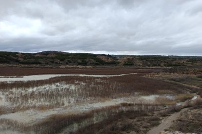 La cola del Negratín recibiendo bastante agua tras el tren de borrascas.