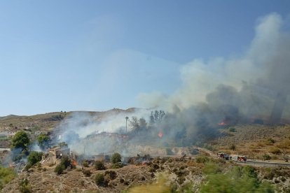 Incendio forestal en Los Gallardos.