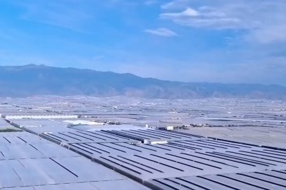 El Ejido, conocido como 