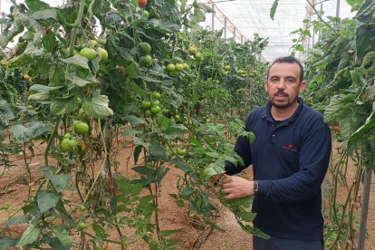 Paco en su invernadero, donde pasa prácticamente los 365 días del año.