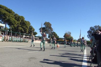 La Brigada de la Legión recuerda el Combate de Edchera, el acto militar estuvo presidido por el general de división, jefe de las Fuerzas L
