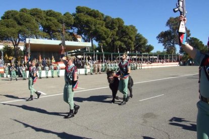 La Brigada de la Legión recuerda el Combate de Edchera, el acto militar estuvo presidido por el general de división, jefe de las Fuerzas L