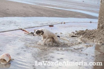 Más de un centenar de incidencias en toda la provincia y solo un herido