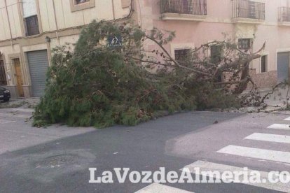 Más de un centenar de incidencias en toda la provincia y solo un herido