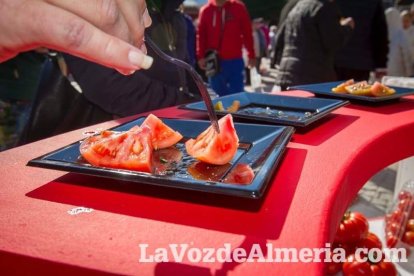 La Plaza Vieja ha vivido una gran jornada con música, juegos infantiles, degustaciones, muestra de tomates y venta con fines solidarios Fot