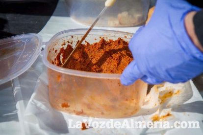 La Plaza Vieja ha vivido una gran jornada con música, juegos infantiles, degustaciones, muestra de tomates y venta con fines solidarios Fot