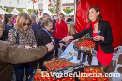 La Plaza Vieja ha vivido una gran jornada con música, juegos infantiles, degustaciones, muestra de tomates y venta con fines solidarios Fot