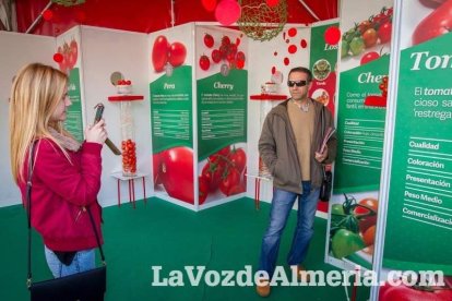 La Plaza Vieja ha vivido una gran jornada con música, juegos infantiles, degustaciones, muestra de tomates y venta con fines solidarios Fot