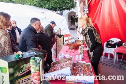 La Plaza Vieja ha vivido una gran jornada con música, juegos infantiles, degustaciones, muestra de tomates y venta con fines solidarios Fot