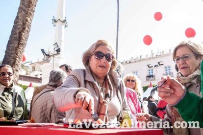 La Plaza Vieja ha vivido una gran jornada con música, juegos infantiles, degustaciones, muestra de tomates y venta con fines solidarios Fot