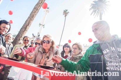 La Plaza Vieja ha vivido una gran jornada con música, juegos infantiles, degustaciones, muestra de tomates y venta con fines solidarios Fot