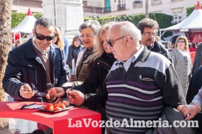 La Plaza Vieja ha vivido una gran jornada con música, juegos infantiles, degustaciones, muestra de tomates y venta con fines solidarios Fot