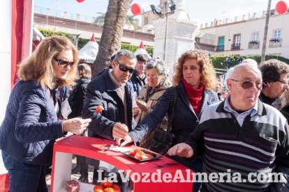 La Plaza Vieja ha vivido una gran jornada con música, juegos infantiles, degustaciones, muestra de tomates y venta con fines solidarios Fot