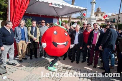 La Plaza Vieja ha vivido una gran jornada con música, juegos infantiles, degustaciones, muestra de tomates y venta con fines solidarios Fot