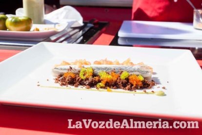 La Plaza Vieja ha vivido una gran jornada con música, juegos infantiles, degustaciones, muestra de tomates y venta con fines solidarios Fot