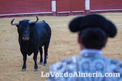 Torres Jerez lo dijo todo toreando