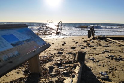 \'No podemos contra la mar\' de Rosalía Fernández.