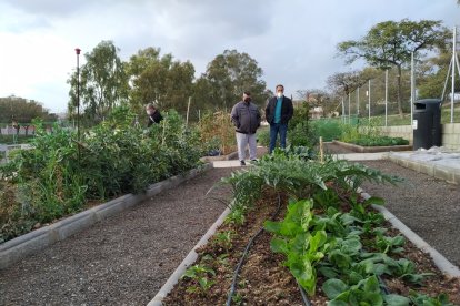 Juan José Segura, concejal de Agricultura, visitando las instalaciones de Colonia de Araceli