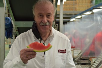 Comienza la campaña de comercialización de la sandía sin pepitas Premium de Caparrós.